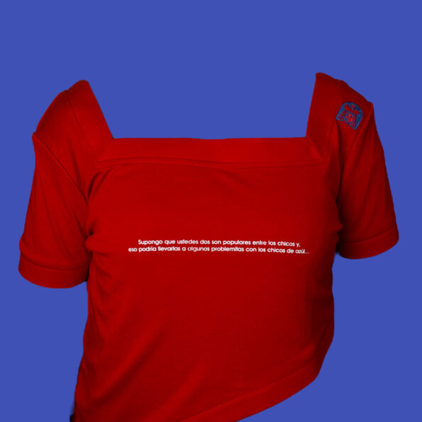 Problems-with-The-Boys-in-Blue-W3